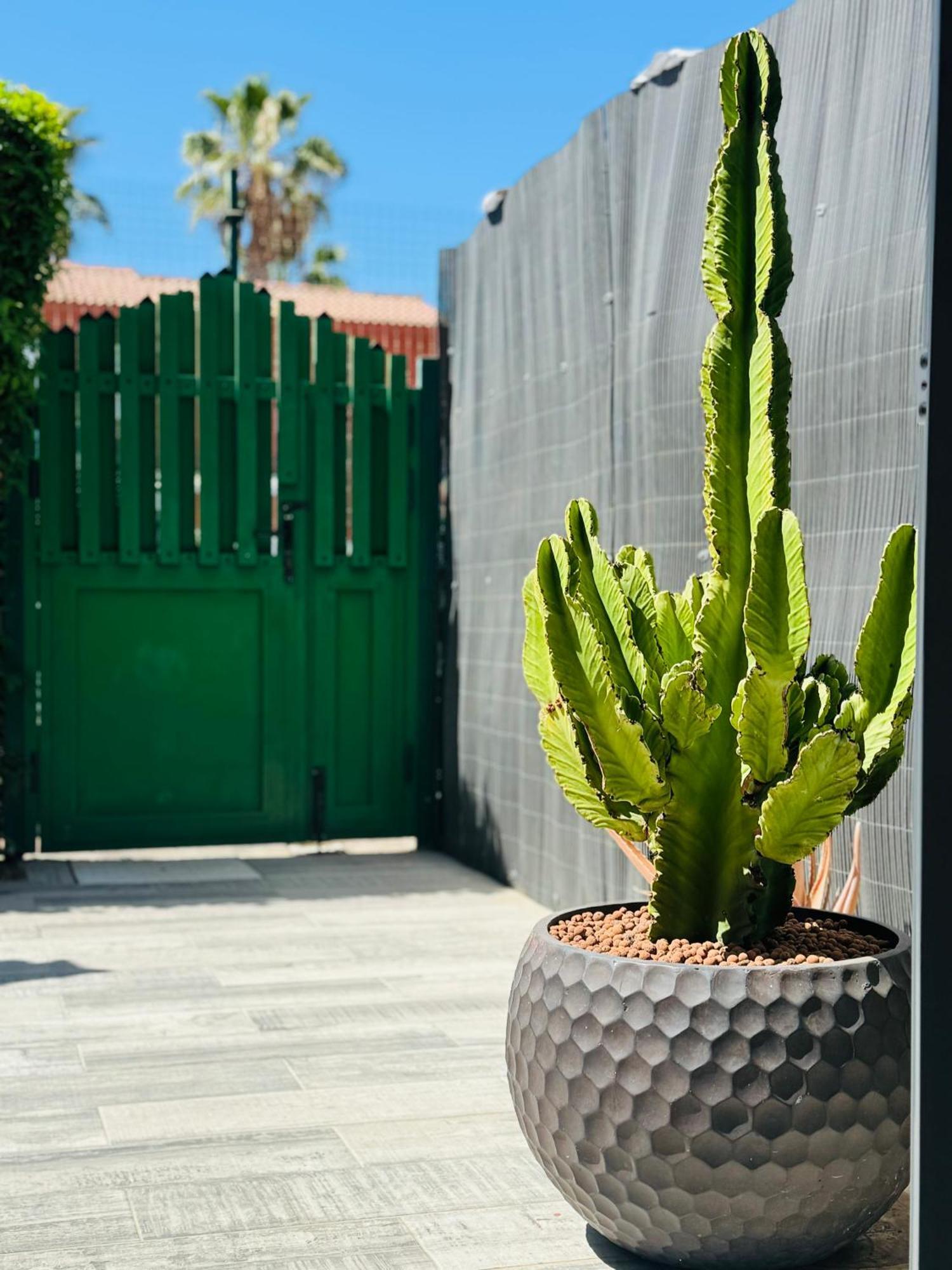 Bungalow Casita Maspalomas  Zewnętrze zdjęcie